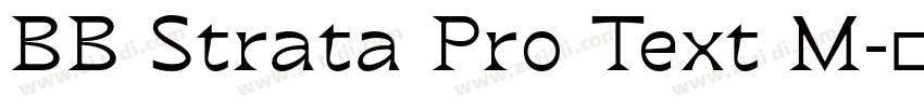 BB Strata Pro Text M字体转换